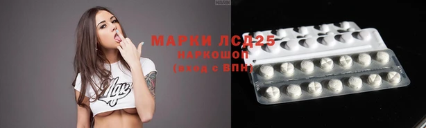 стафф Арсеньев