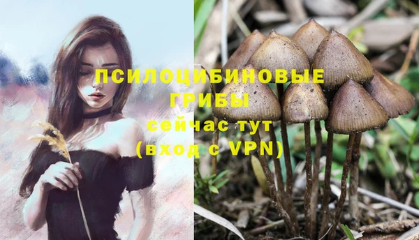 круглые Бронницы