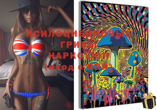 стафф Арсеньев