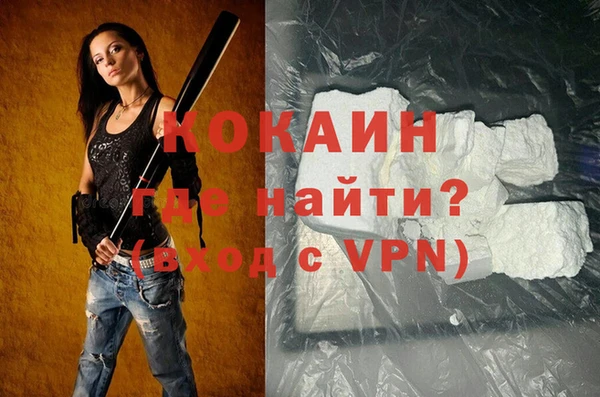 стафф Арсеньев
