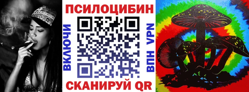 darknet какой сайт  Гаврилов Посад  Псилоцибиновые грибы Psilocybine cubensis 